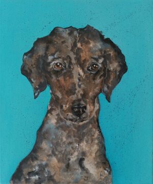 Dog - Arlo