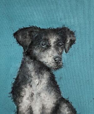 Dog - Rolo