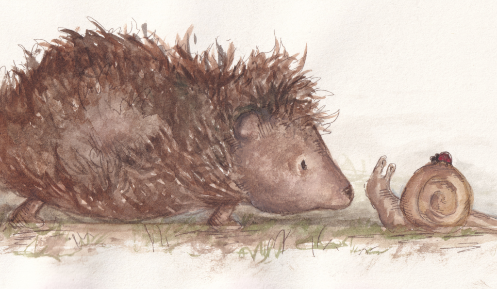 Hedgehog & Snail Hazel
