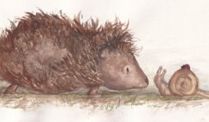 Hedgehog & Snail Hazel