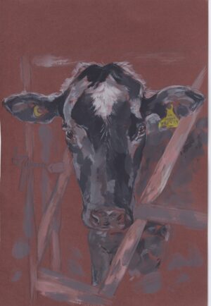 Cow