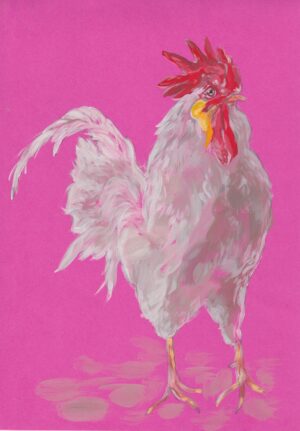 Run its the Cockerel