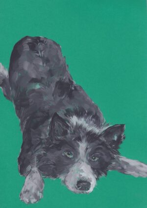 Sheepdog JP
