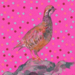 Grouse