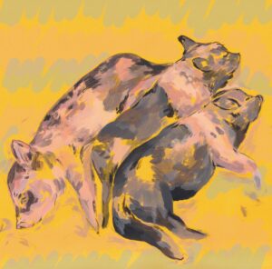 Piglet Cuddles