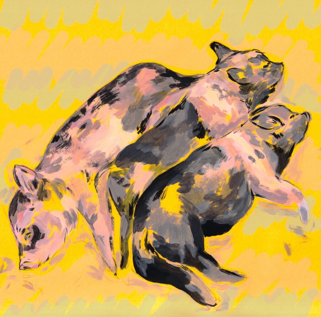 Piglet Cuddles
