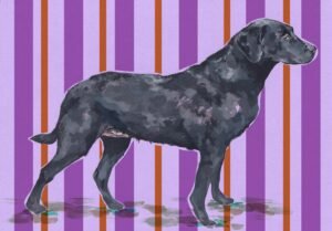 Dog - Working Lab