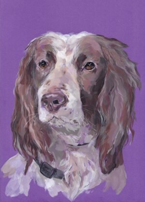 Dog - Tessa