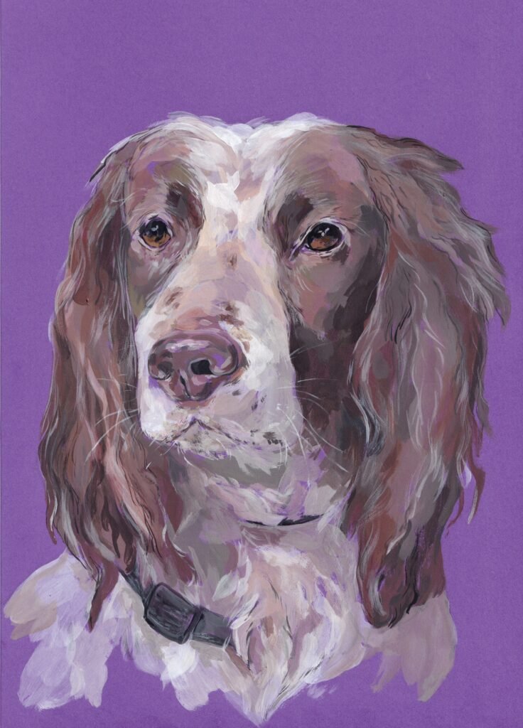 Dog - Tessa