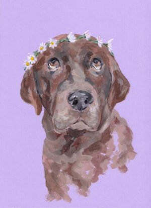 Dog - Allie