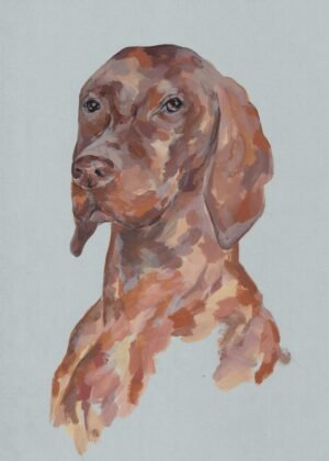 Dog - Albert