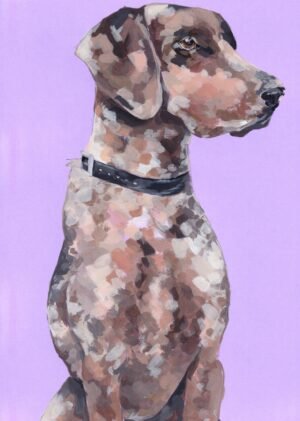 Dog - Fern the pointer