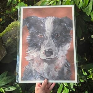 Sheepdog Badger