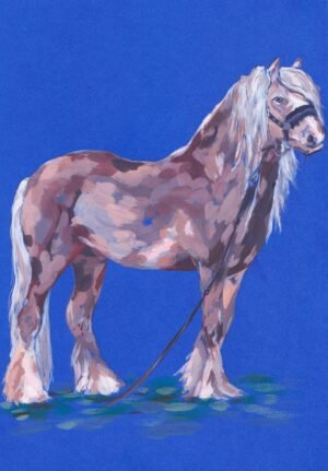 Horse - Shorty