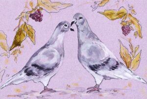 Pigeons