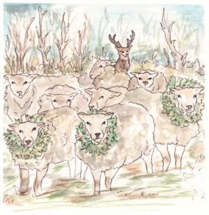 Baa Baa Baa